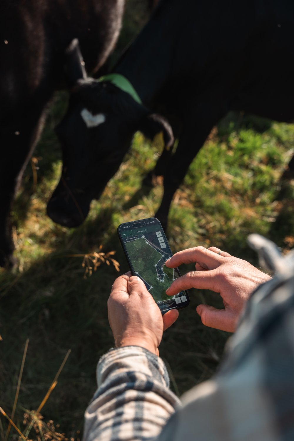 nofence mobilapp