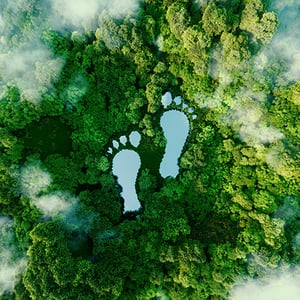 footprint