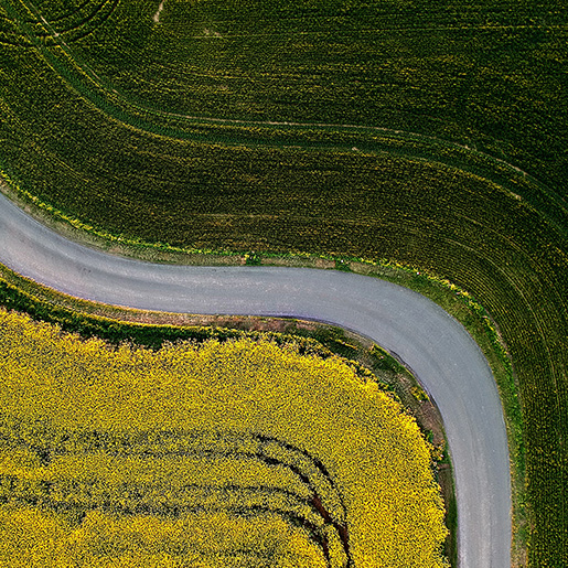road-in-the-middle-of-two-fields