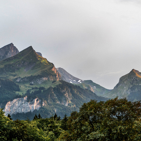 berg-och-skog berg-och-skog